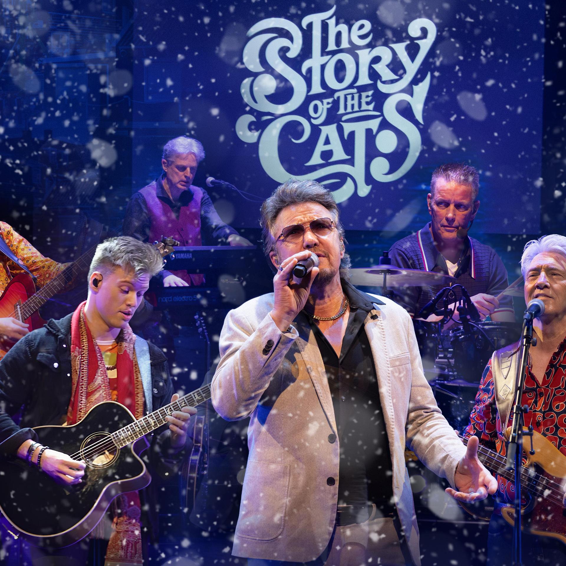 The Story of The Cats, Promotiefoto van de band The Story of the Cats op het podium
