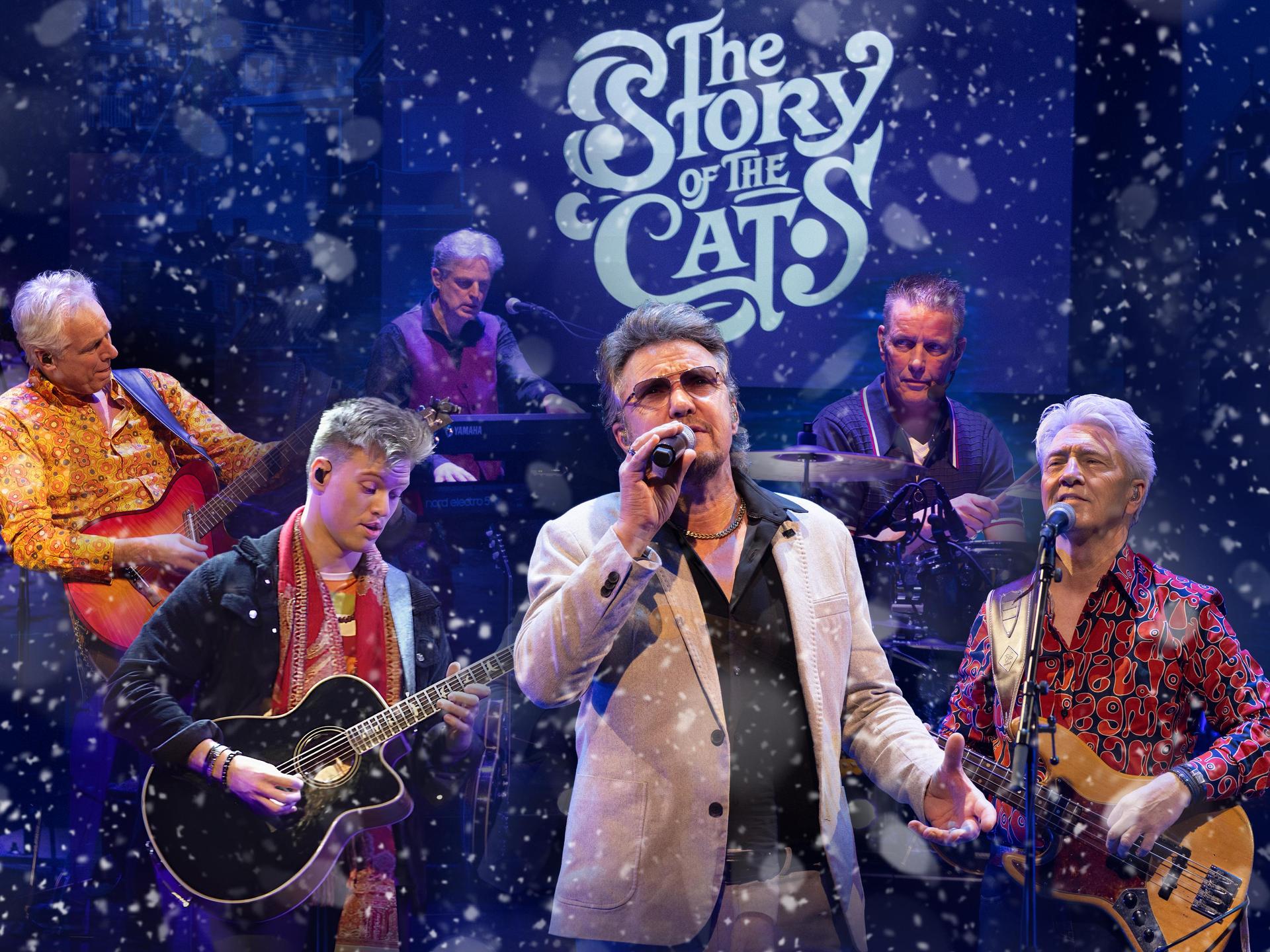 The Story of The Cats, Promotiefoto van de band The Story of the Cats op het podium