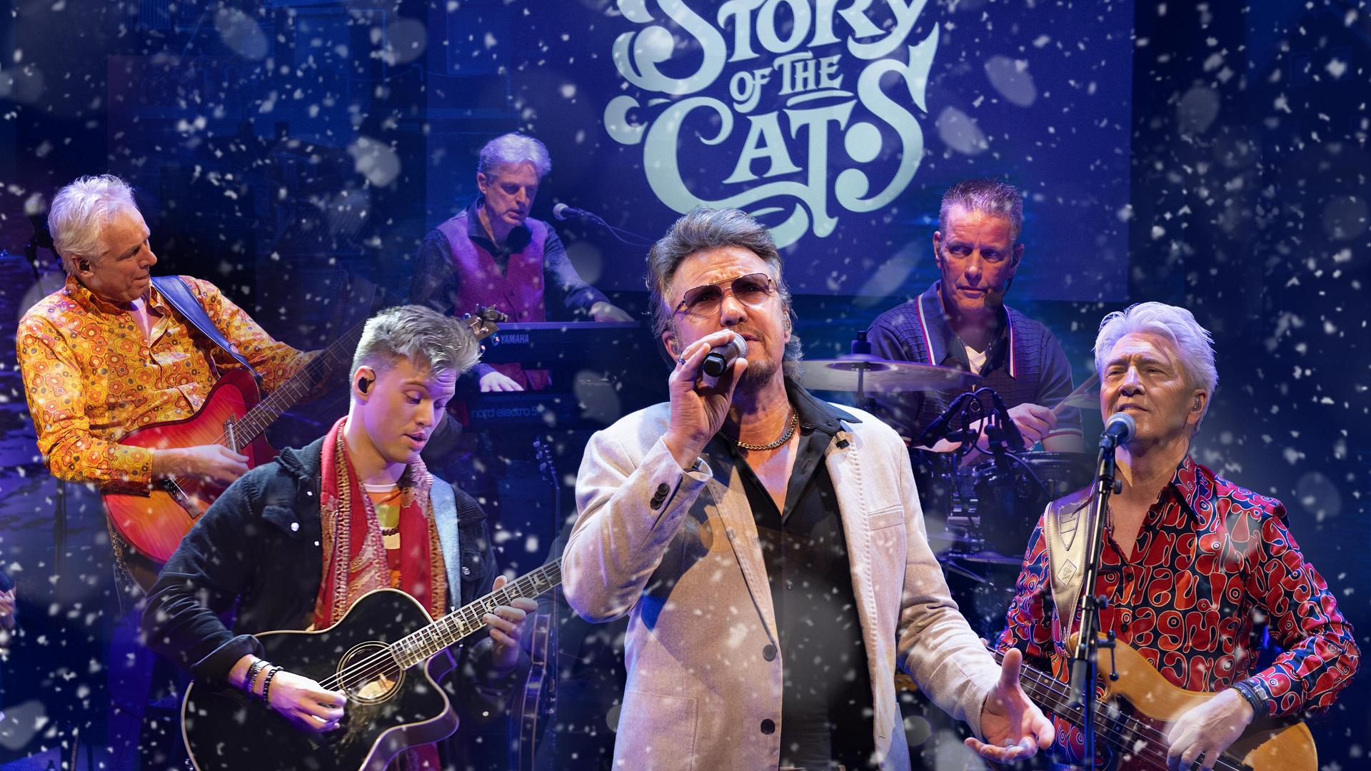 The Story of The Cats, Promotiefoto van de band The Story of the Cats op het podium