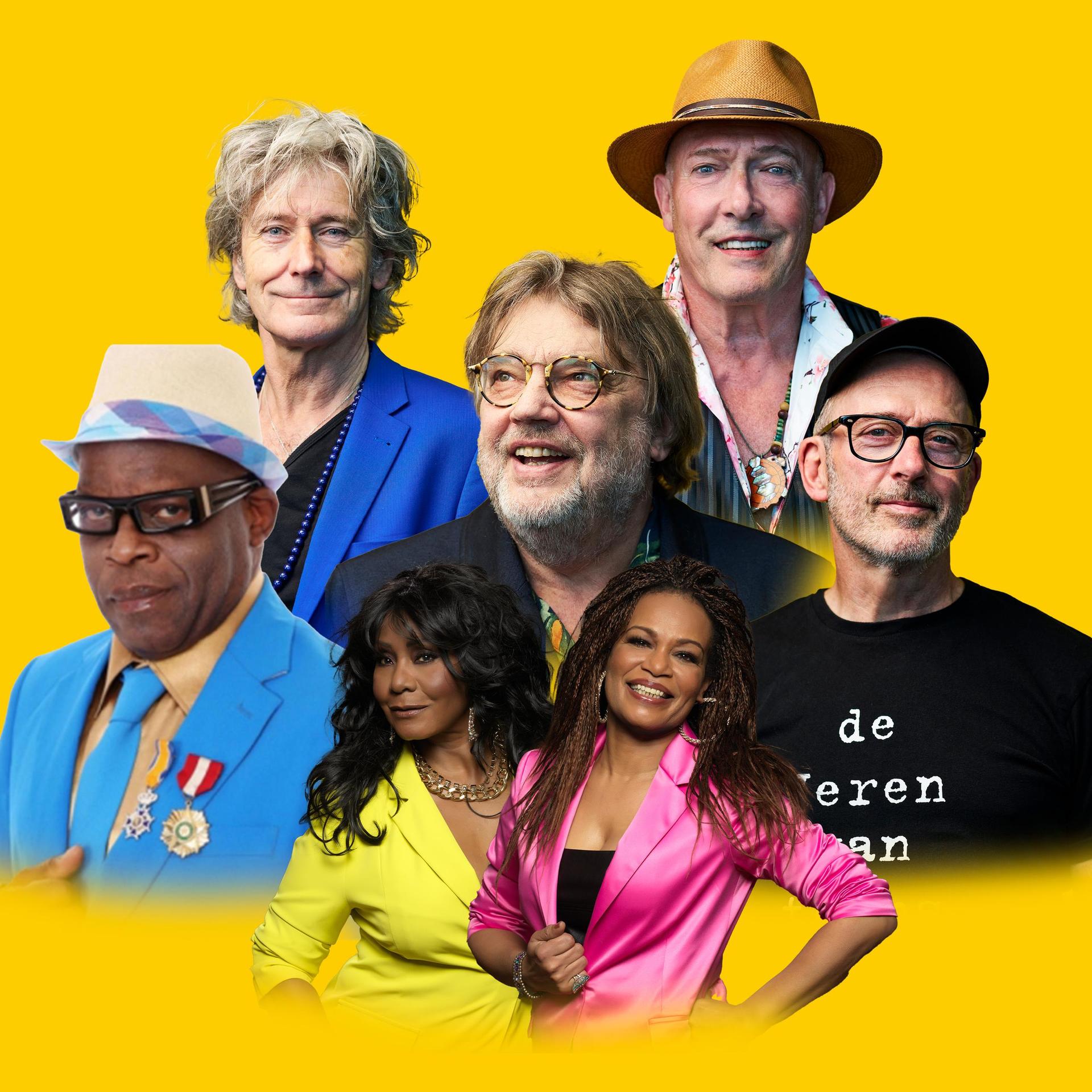 Nederpop All Stars, Promotiefoto van Nederpop All Stars met alle muzikanten erop tegen een gele achtergrond