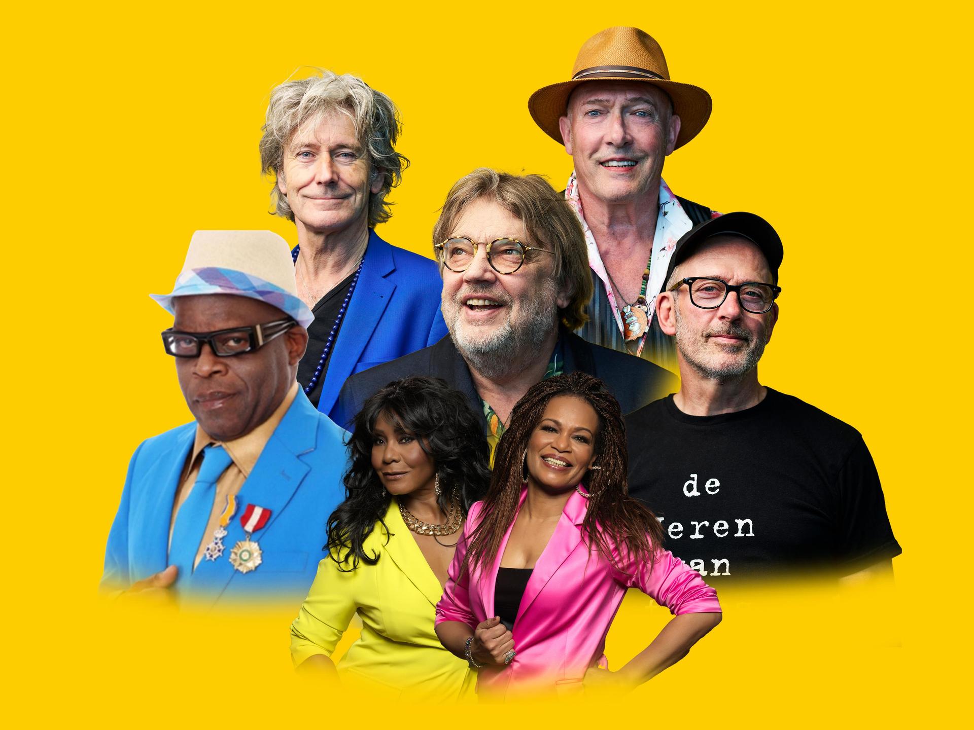 Nederpop All Stars, Promotiefoto van Nederpop All Stars met alle muzikanten erop tegen een gele achtergrond