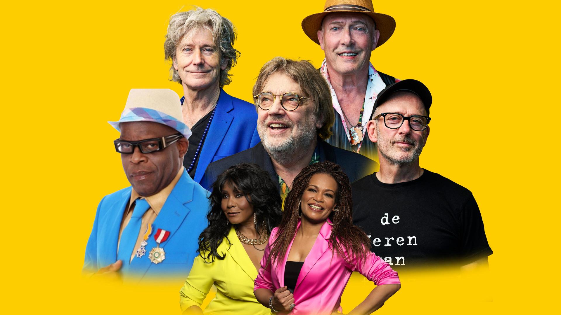Nederpop All Stars, Promotiefoto van Nederpop All Stars met alle muzikanten erop tegen een gele achtergrond