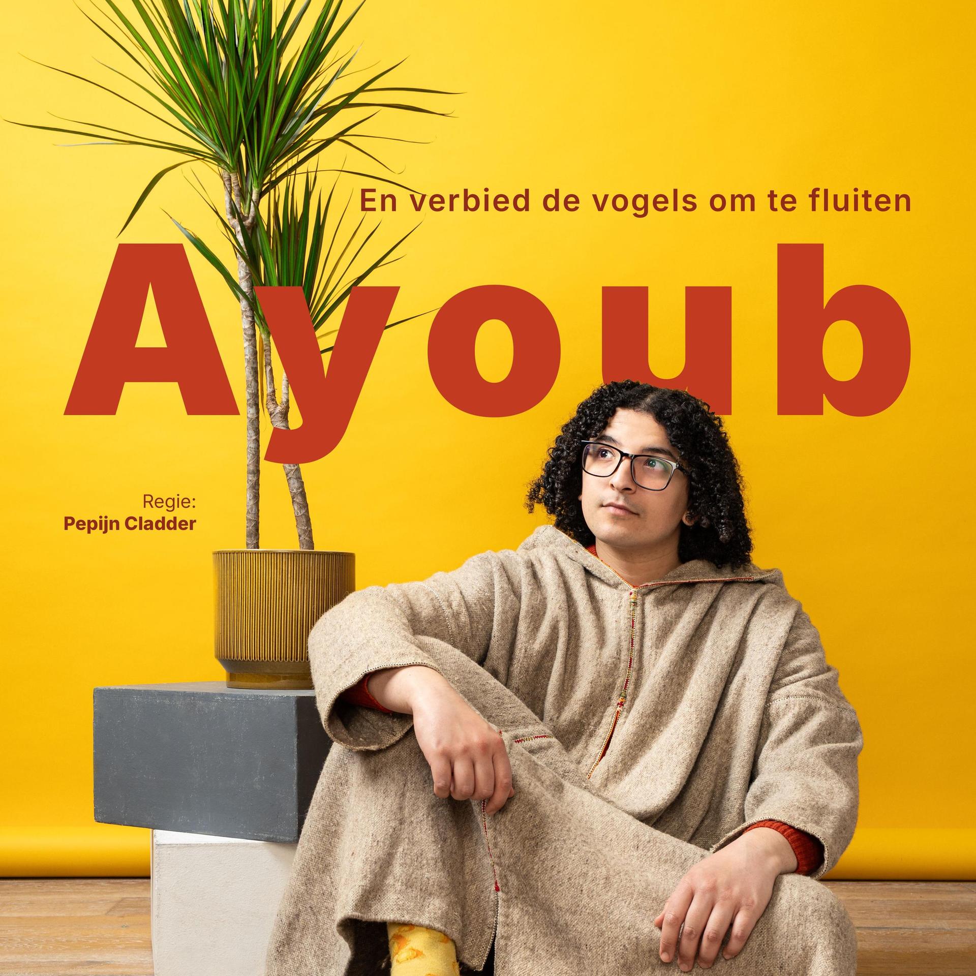 Ayoub, Promotiefoto van Ayoub zittend op de grond voor een gele wand met plant achter hem
