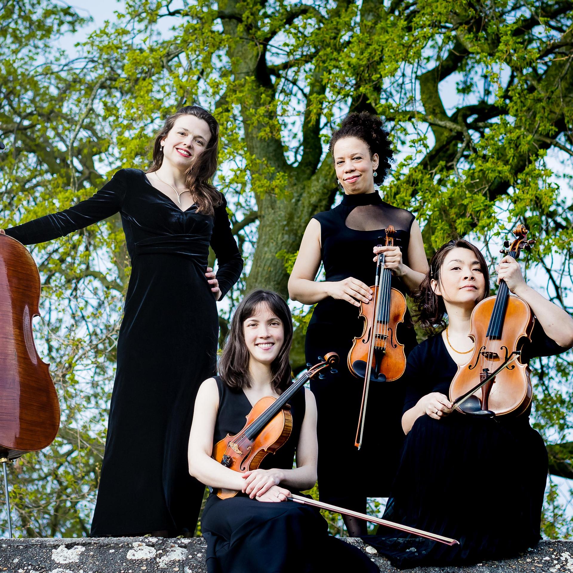 GoYa Quartet, Promotiefoto van gezelschap GoYa Quartet met instrumenten en boom op de achtergrond