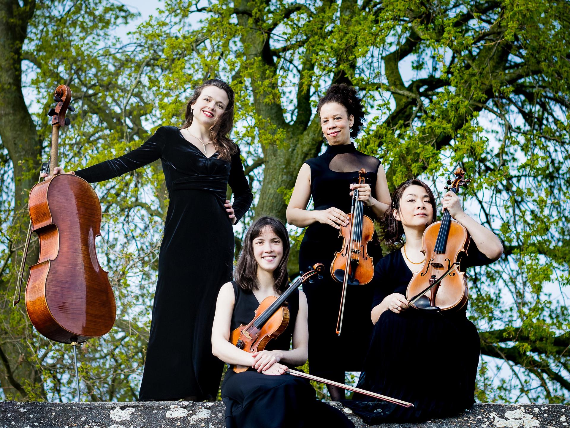 GoYa Quartet, Promotiefoto van gezelschap GoYa Quartet met instrumenten en boom op de achtergrond
