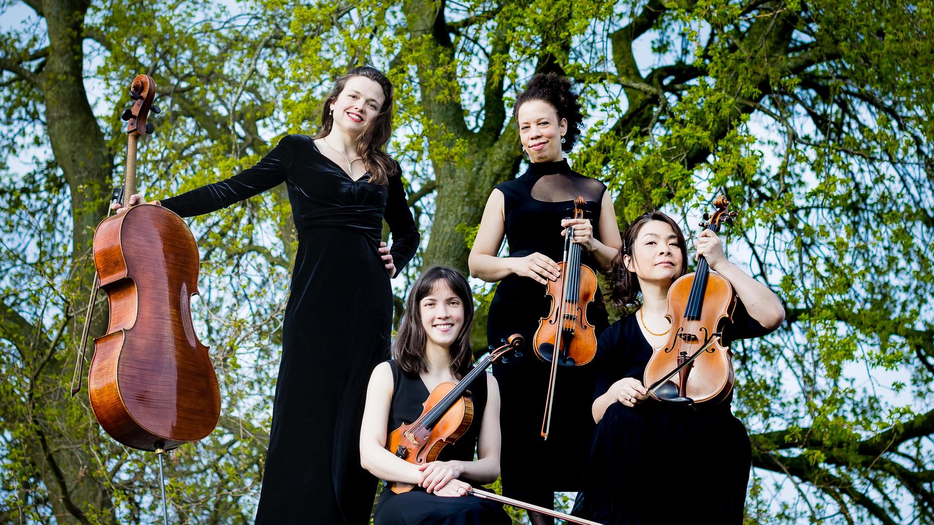 GoYa Quartet, Promotiefoto van gezelschap GoYa Quartet met instrumenten en boom op de achtergrond