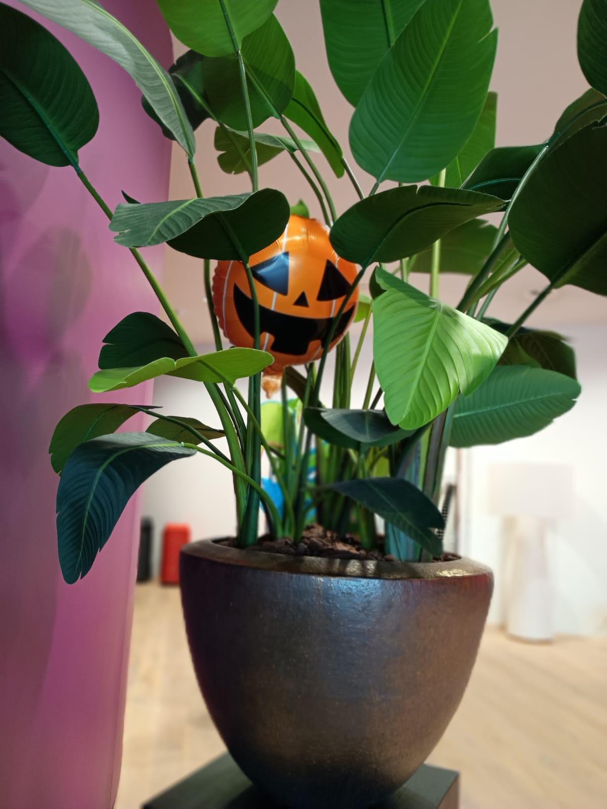 Impressie Stoep Kids Dag 2025