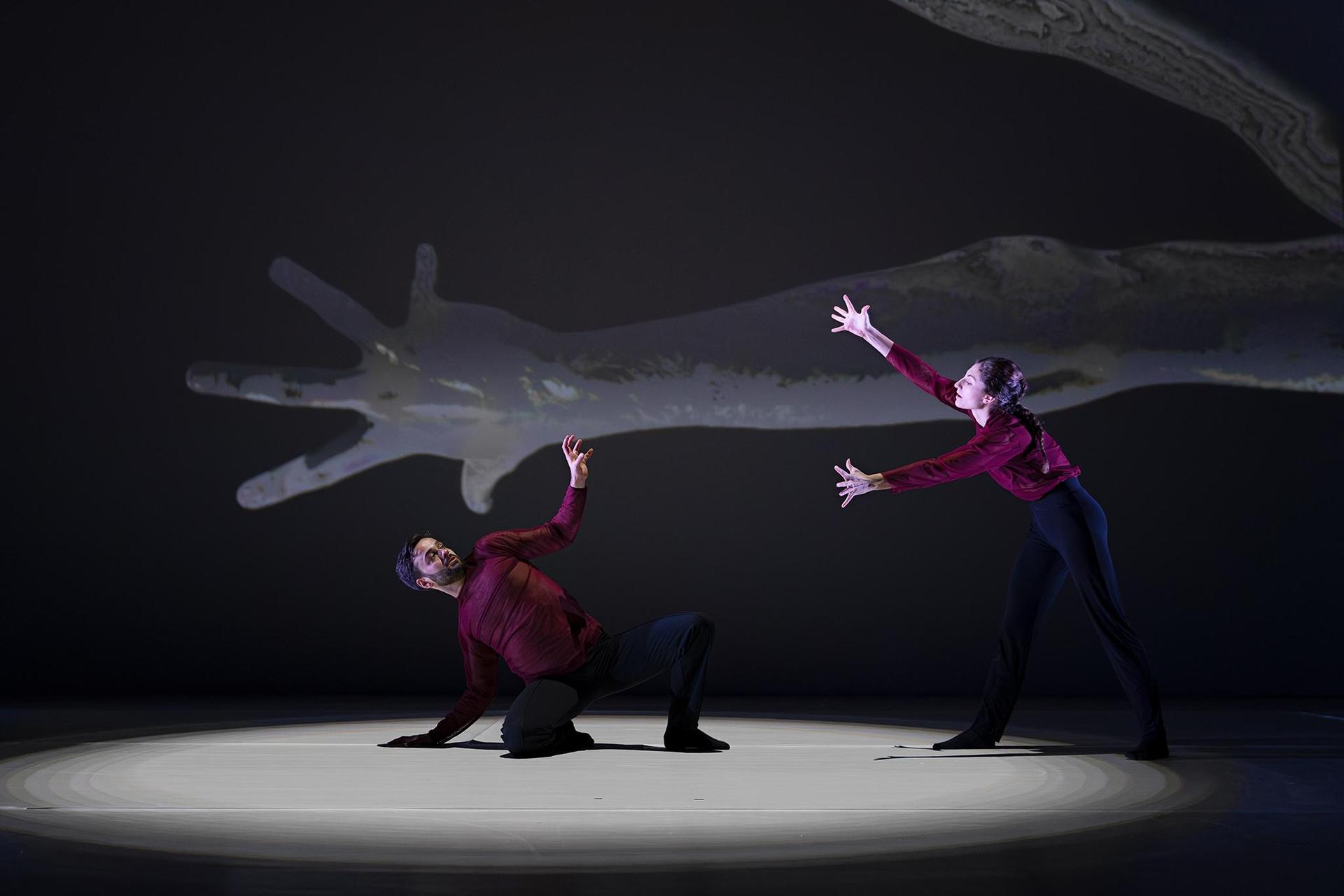 scènefoto Another Kind of Blue - Silent Gestures