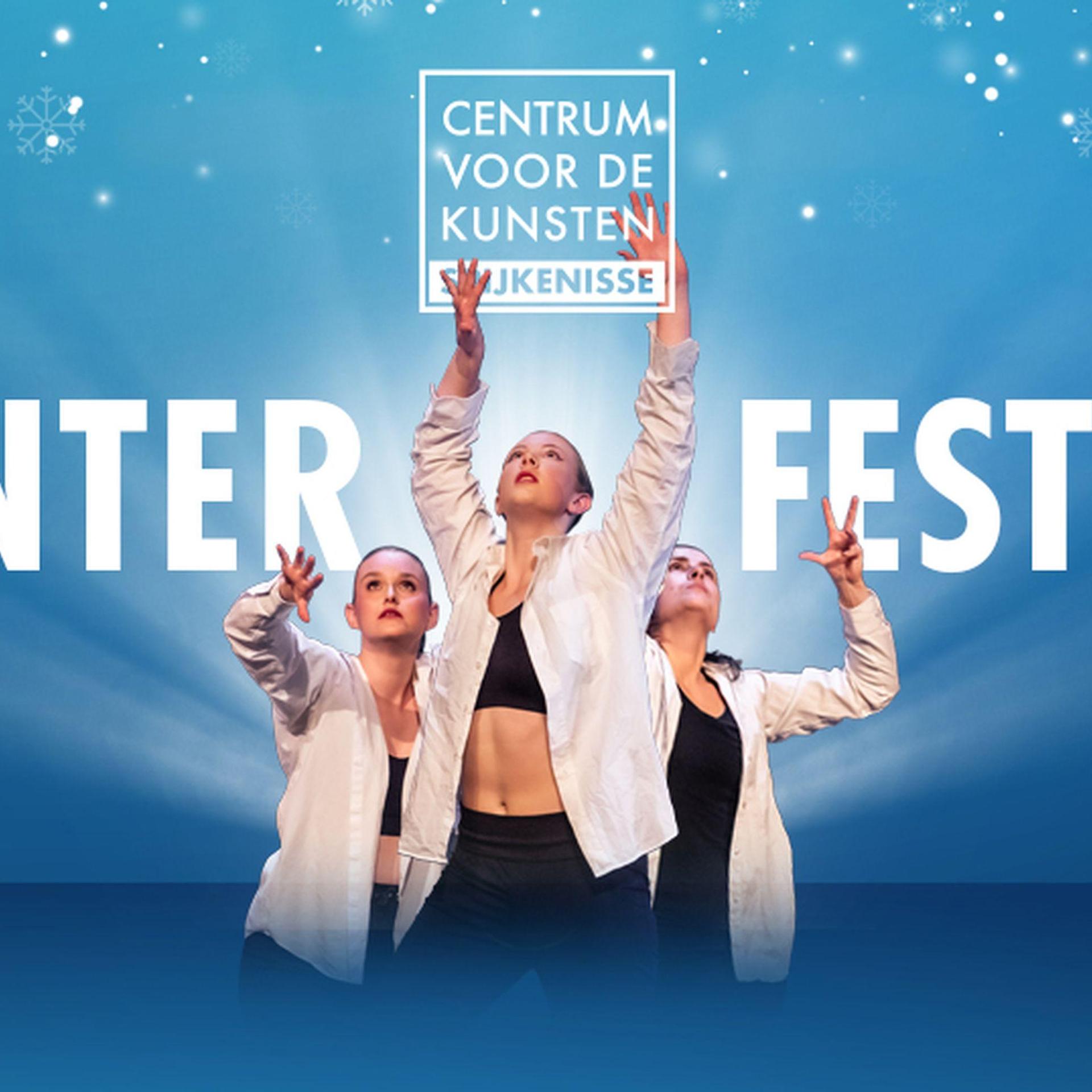 Winterfestival NIS, Promotiebeeld Winterfestival