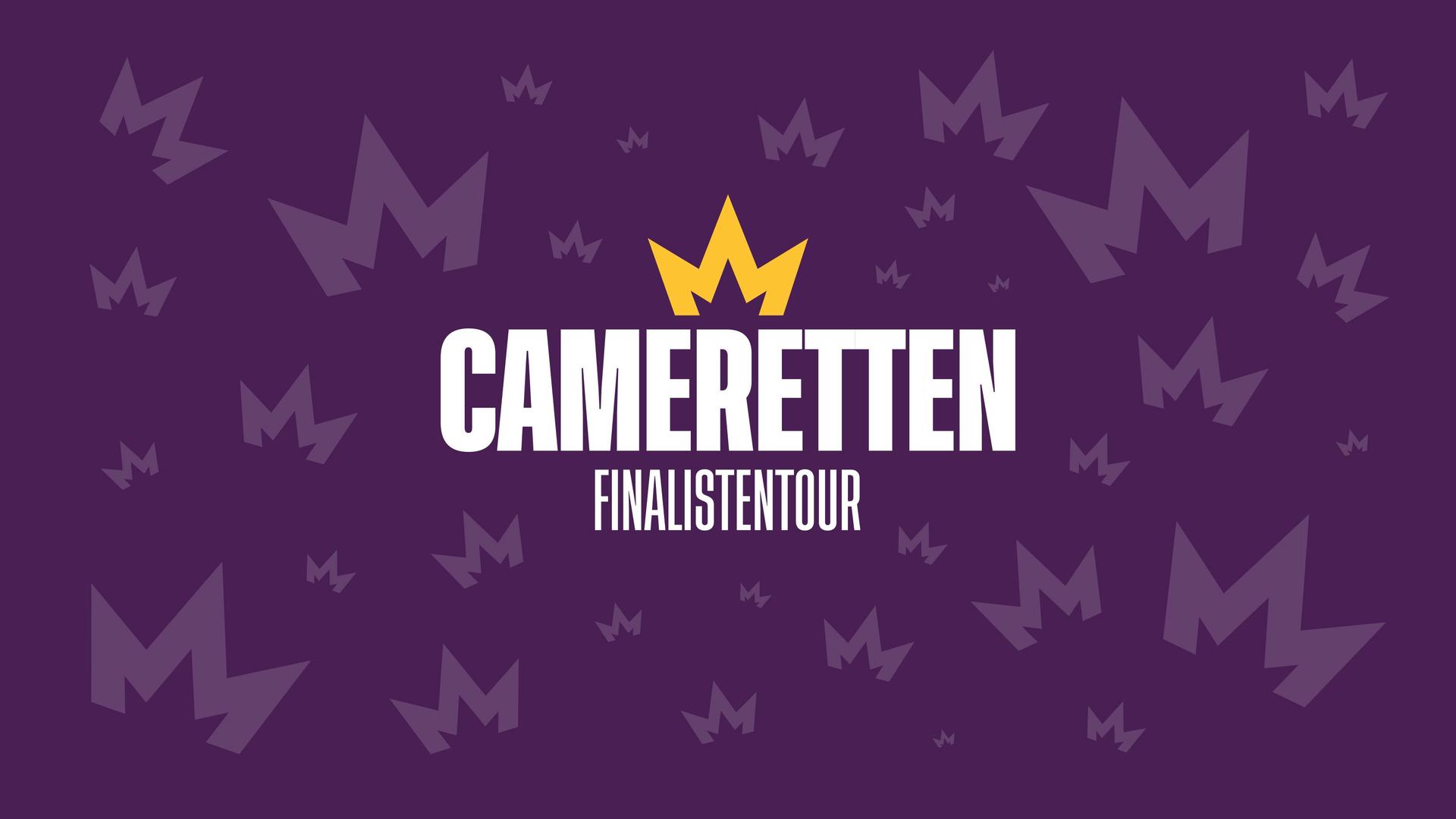 Cameretten, Promotiebeeld Cameretten Finalistentour - paars beeld met logo