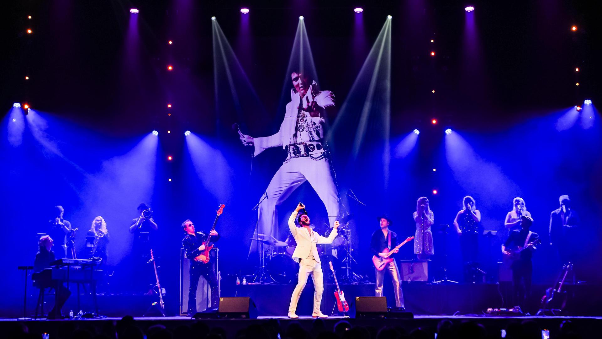 Bouke Rocks Elvis, Promotiefoto Pim & Pom kunst op pootjes