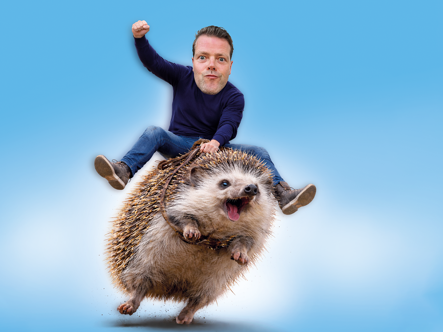 Martijn Koning - Overprikkeld