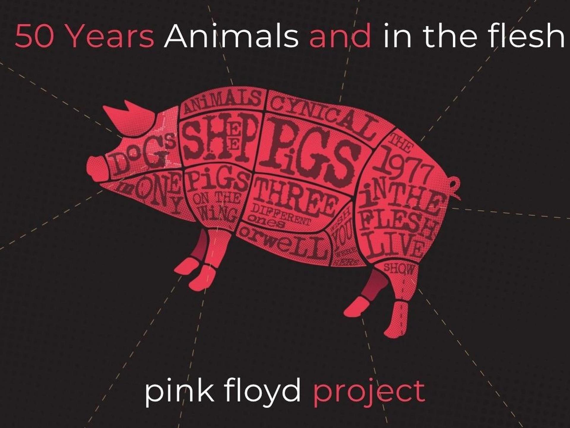 Pink Floyd Project - 50 years of Animals & In The Flesh 1977