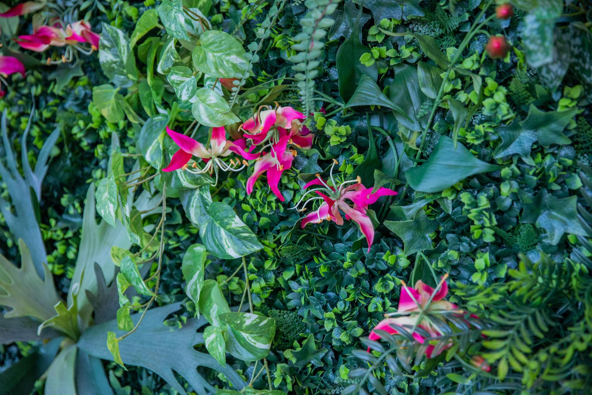 Close up van de groene wand met roze bloemetjes in de foyer van Theater de Stoep