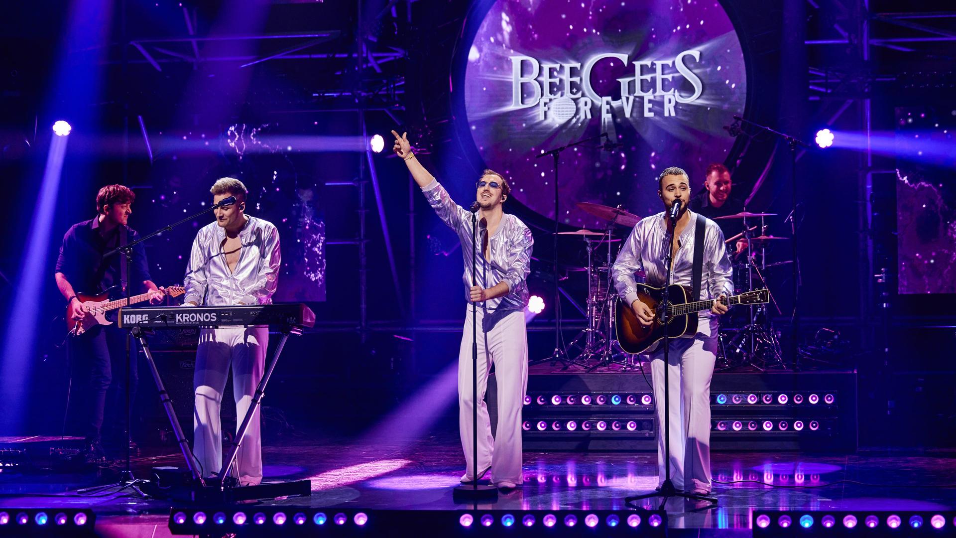 Bee Gees Forever, Foto van band Bee Gees Forever op het podium
